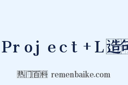 Project+L造句是什么意思的图片